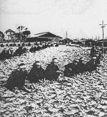 Drying salt water fish