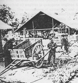 Making oxen carts in a cooperative