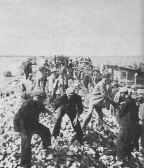 Revolutionary Army work on the Prek Phneou dyke north of Phnom Penh