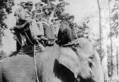 Guerillas riding a elephant