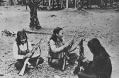 Cadres in the liberated zone